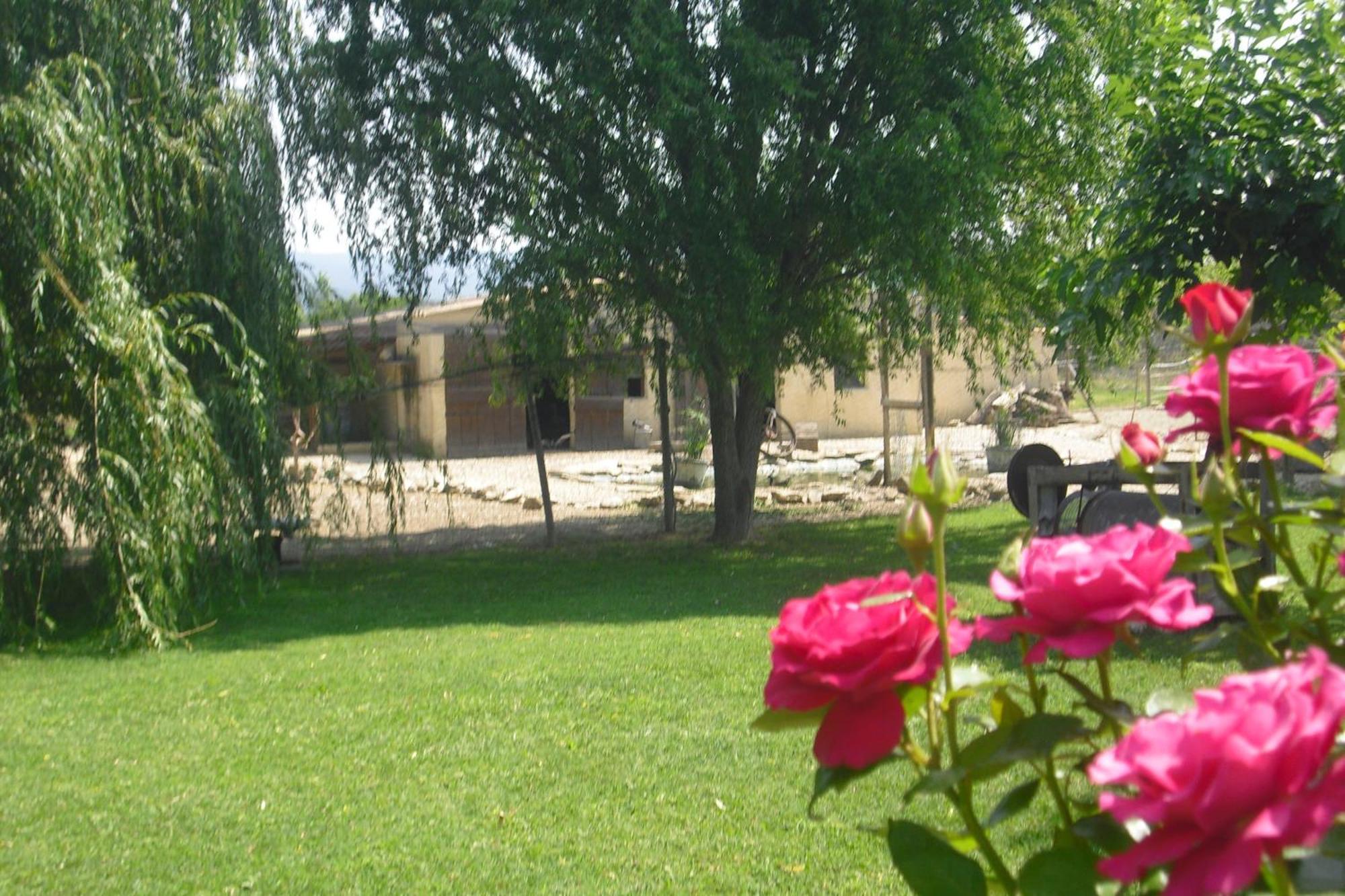 Lou Mas Li Pitchoun "Le Prunier " Apartment Gordes Exterior foto