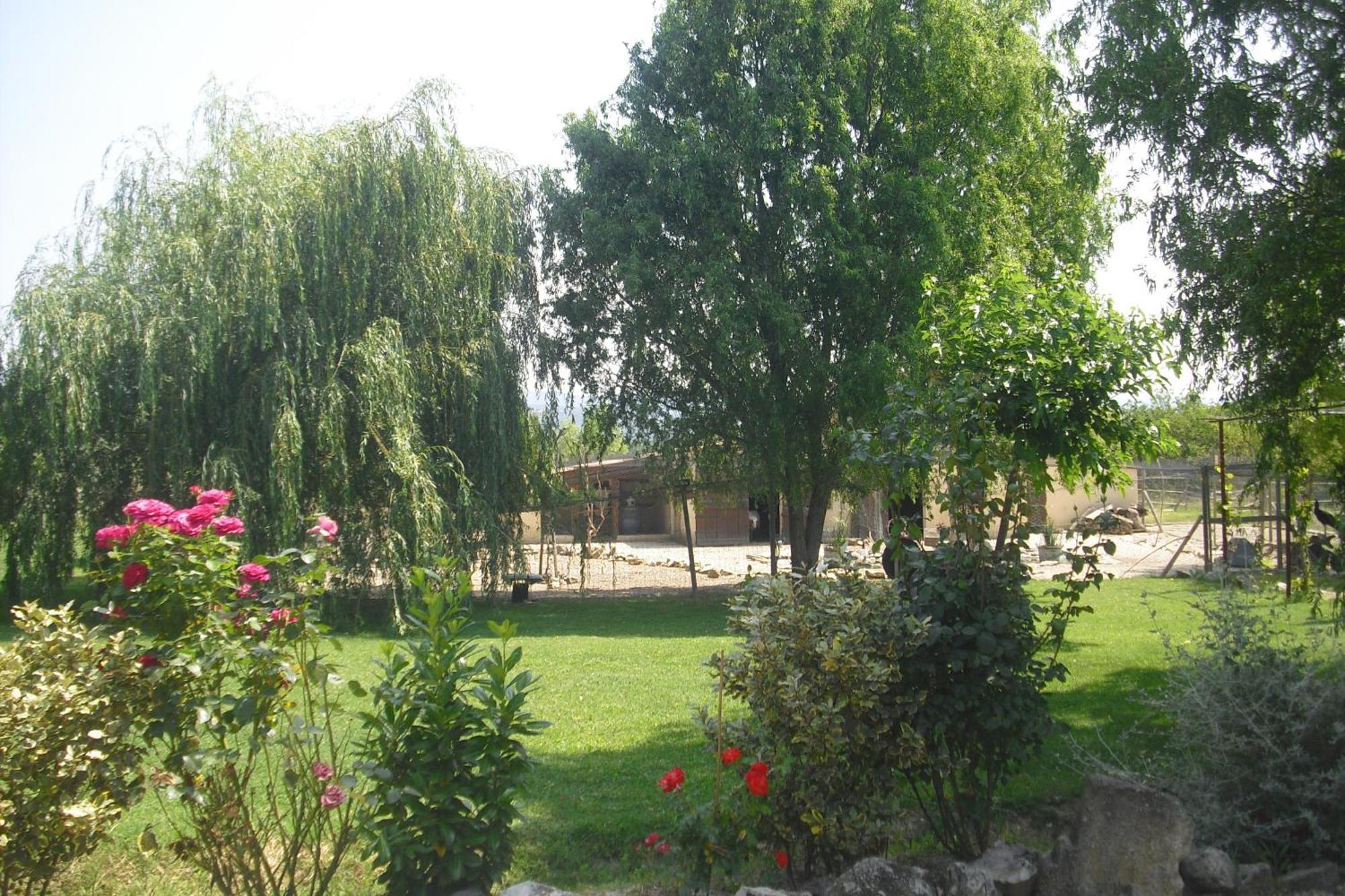Lou Mas Li Pitchoun "Le Prunier " Apartment Gordes Exterior foto